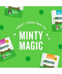 Dental Chews for Dogs – 40 Mint-Flavored Treats for Medium Dogs (25-50 lbs), Freshens Breath, Cleans Teeth, and Reduces Plaque and Tartar