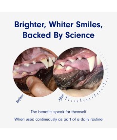 PetLab Co. ProBright Dental Powder - Dog Breath Freshener - Teeth Cleaning Made Easy – Targets Tartar & Bad Breath - Formulated for Small Dogs