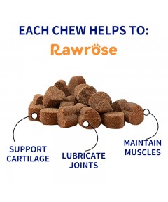 Rawrose Hip & Joint Health Chews for Dogs – Glucosamine, Chondroitin, and MSM for Mobility and Joint Care